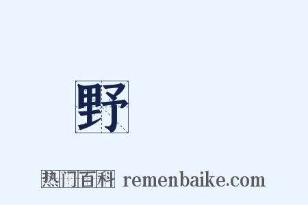 野蠶絲是什么意思的图片